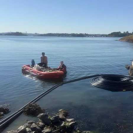 Roaldspiren Bed and breakfast